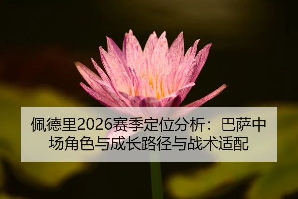 pei-de-li-sai-ji-ding-wei-fen-xi-ba-sa-zhong-chang-jue-se-yu-cheng-zhang-lu-jing-yu-zhan-shu-shi-pei-1-619.jpg